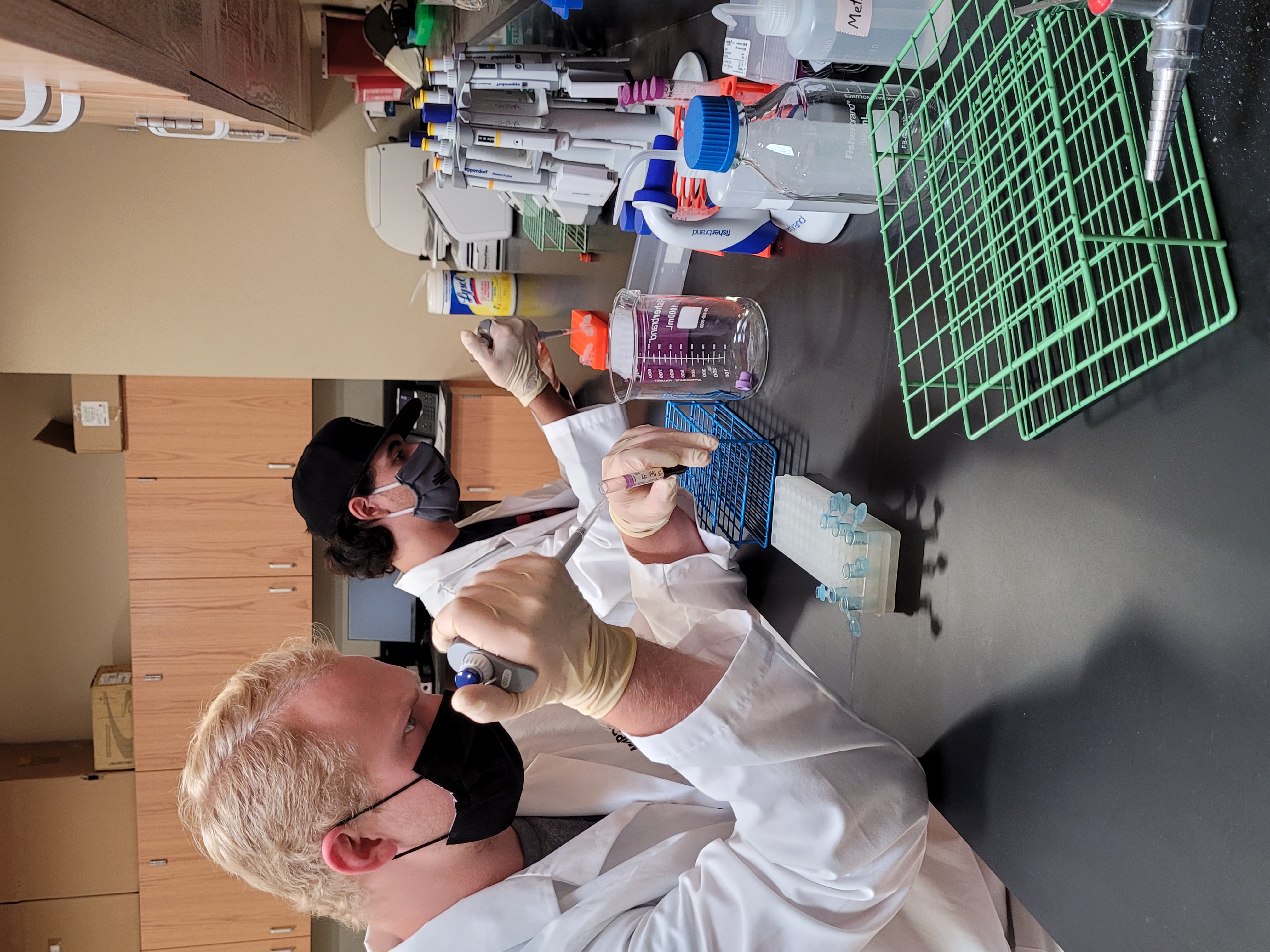 Biochemistry and Molecular Exercise Physiology Laboratory | New Mexico ...